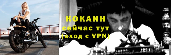 стафф Абинск