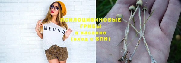 дживик Абаза