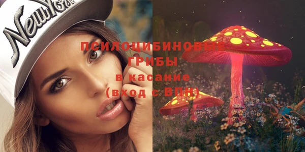дживик Абаза