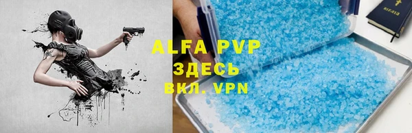 стафф Абинск